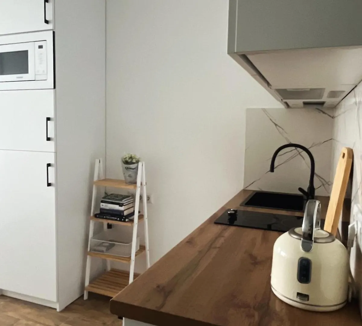 Cozy Seaside Apartment Batumi